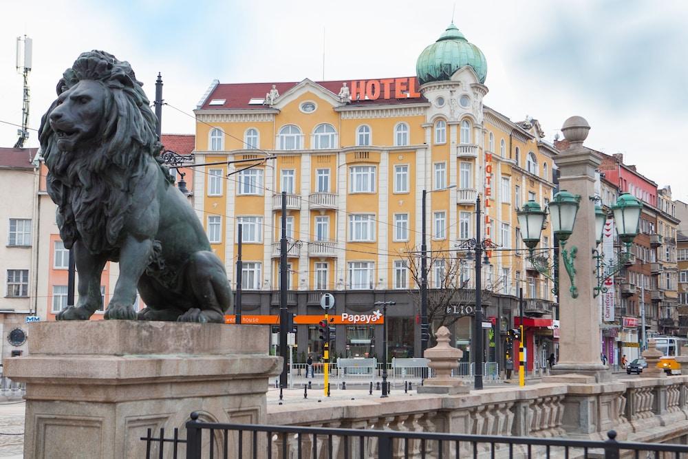 Otel Lion