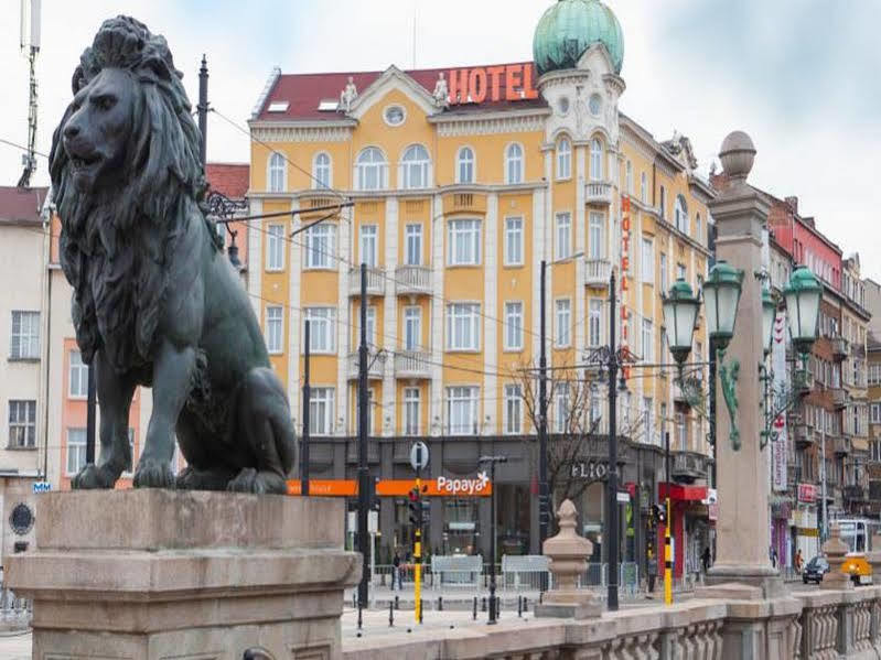 Lion Otel